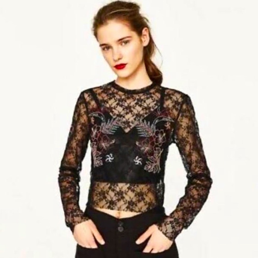 NWOT Zara Sheer Black Lace Embroidered Top!